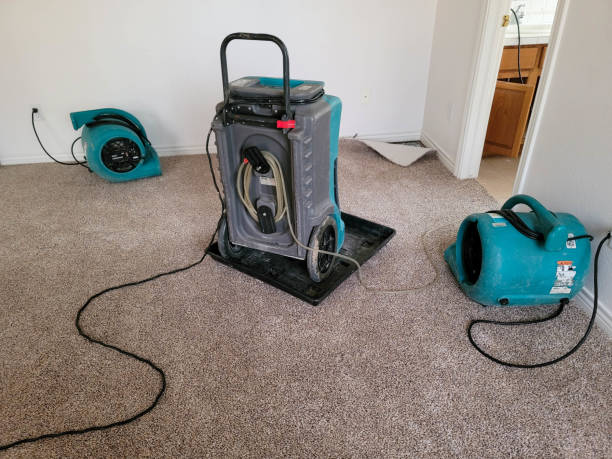 Best Water damage restoration near me  in Wallburg, NC