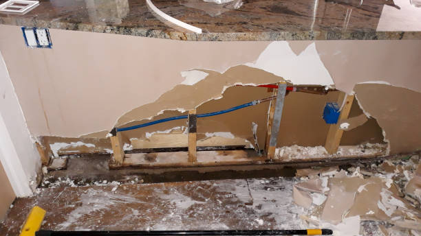 Best Carpet water damage restoration  in Wallburg, NC