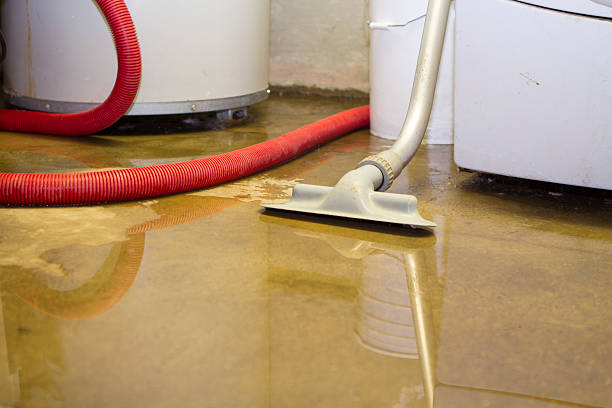 Best Ceiling water damage repair  in Wallburg, NC