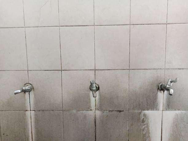 Best Water damage restoration near me  in Wallburg, NC