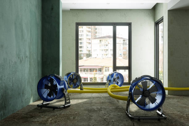 Best Fire Damage Restoration  in Wallburg, NC