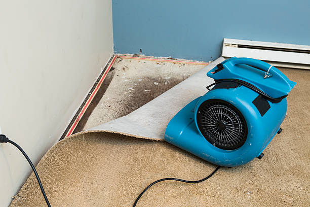 Best Residential water damage restoration  in Wallburg, NC