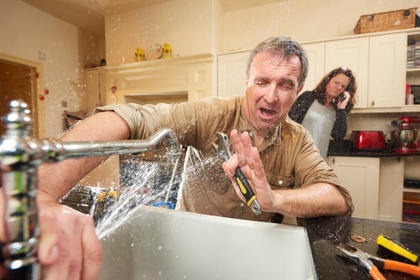 Best Basement water damage restoration  in Wallburg, NC